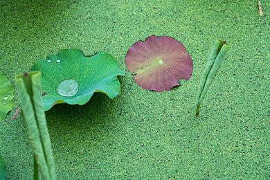 《按摩狂》NS版发售延期 女玩家曾抗议该作助长性犯罪